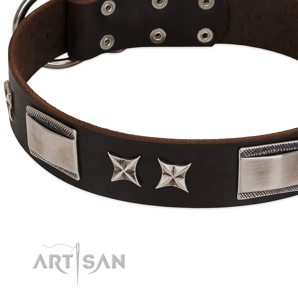 Handmade collar of full grain leather for your handsome dog
