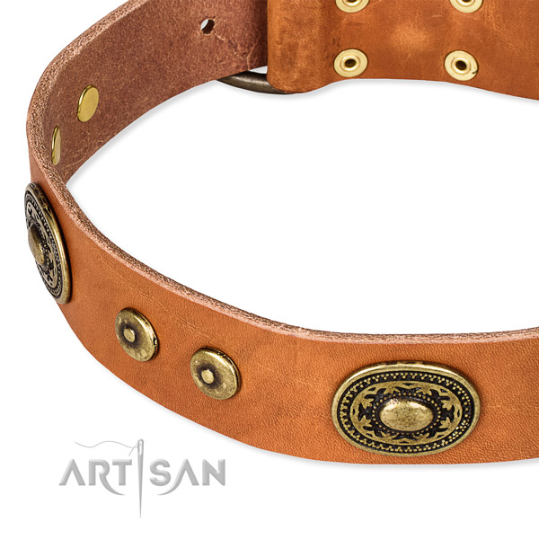 Full grain natural leather dog collar made of reliable material with adornments