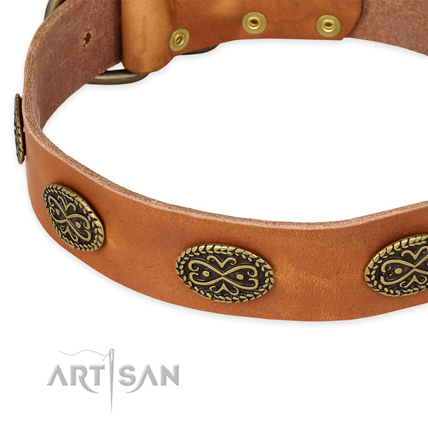 Perfect fit full grain natural leather collar for your lovely canine
