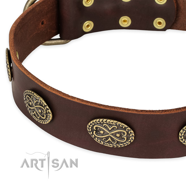 Trendy full grain natural leather collar for your stylish doggie