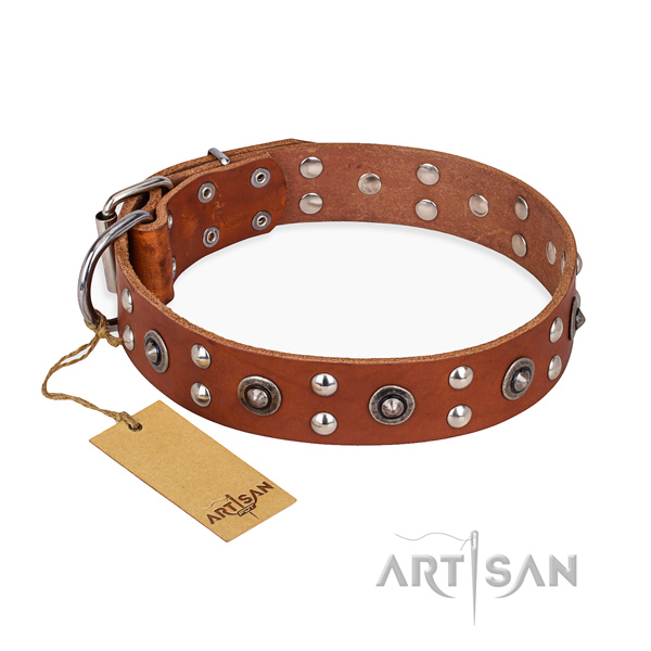 Walking handcrafted dog collar with rust-proof fittings