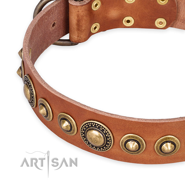 Durable genuine leather dog collar created for your stylish doggie