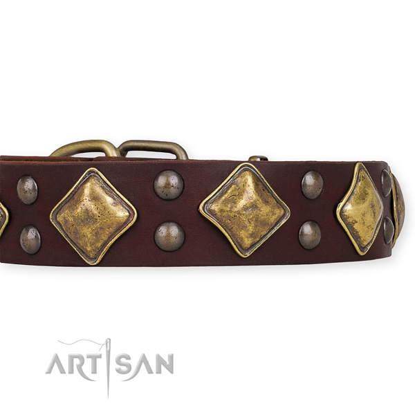 Full grain genuine leather dog collar with significant durable embellishments
