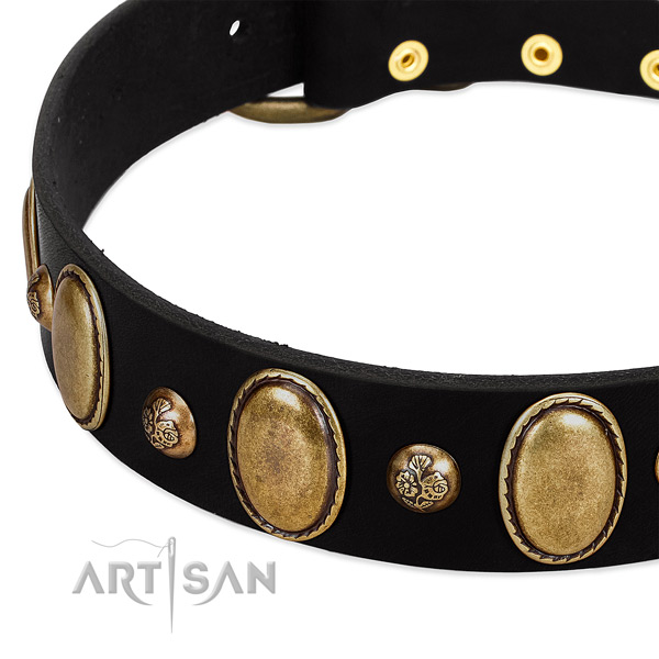 Leather dog collar with fashionable embellishments