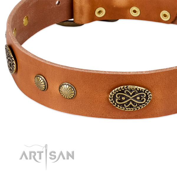 Corrosion resistant hardware on leather dog collar for your four-legged friend