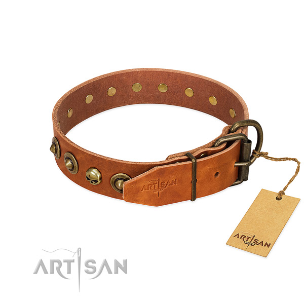 Full grain genuine leather collar with trendy studs for your canine