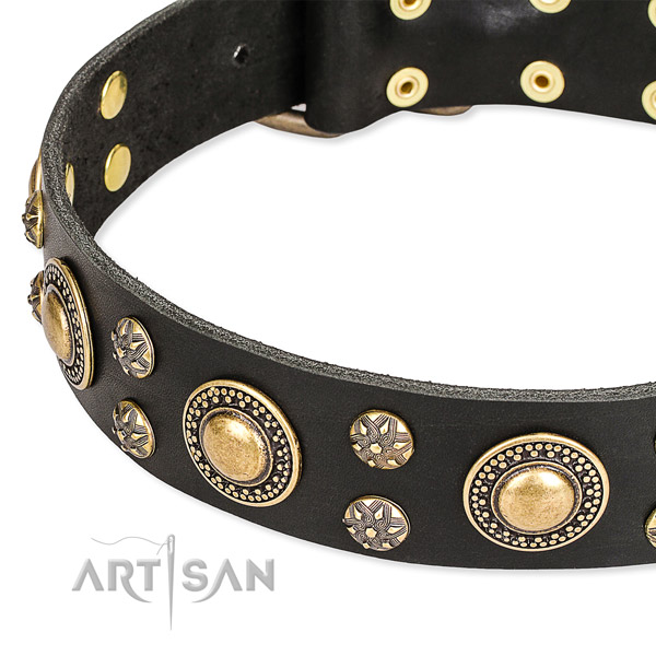 Easy wearing studded dog collar of best quality leather