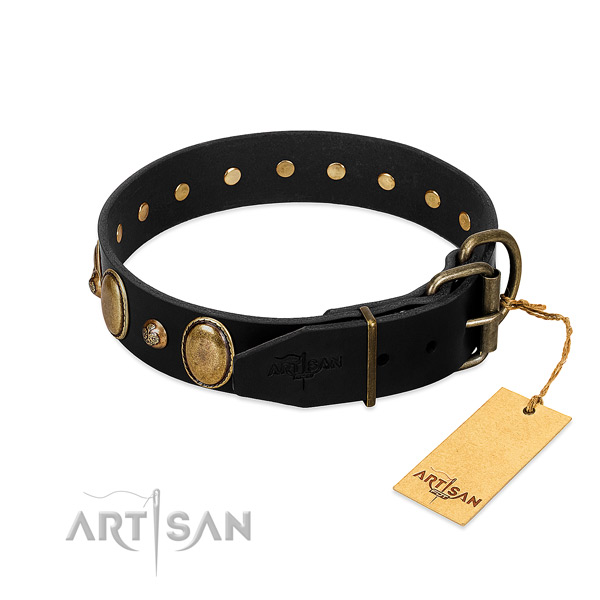 Rust resistant buckle on full grain leather collar for stylish walking your doggie