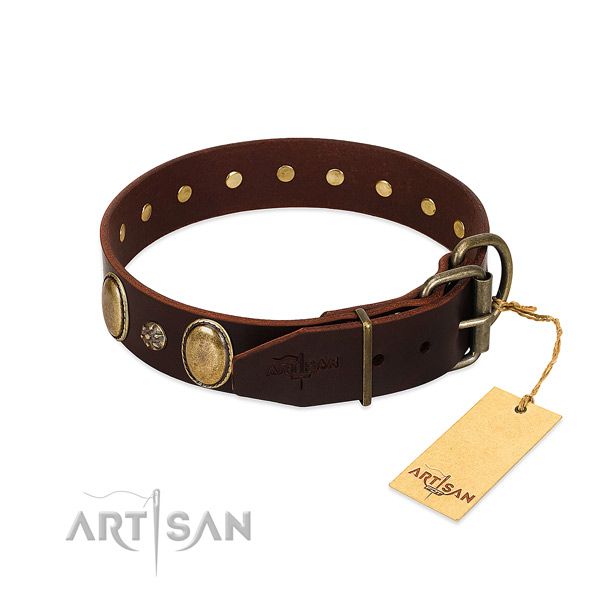 Fancy walking top rate natural genuine leather dog collar