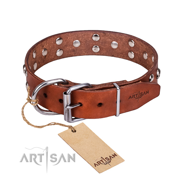 Easy wearing dog collar of quality natural leather with adornments