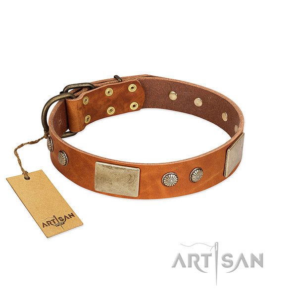 Easy wearing genuine leather dog collar for stylish walking your pet