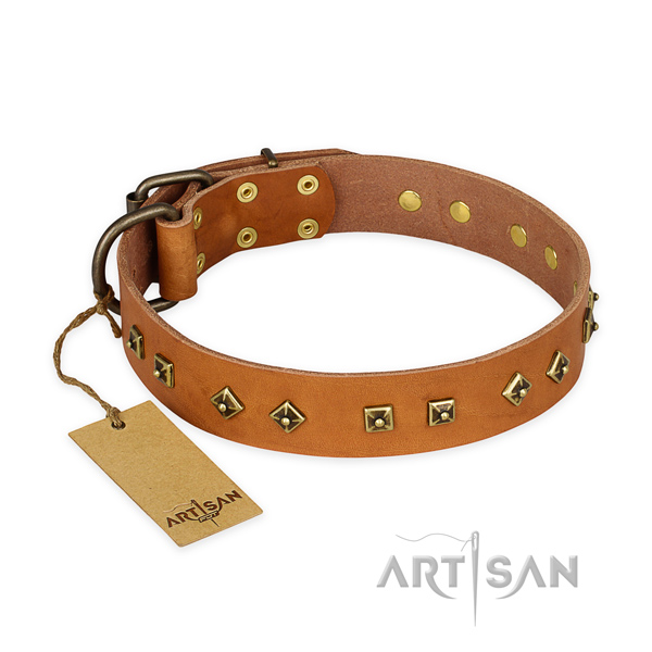 Adorned full grain leather dog collar with corrosion proof fittings