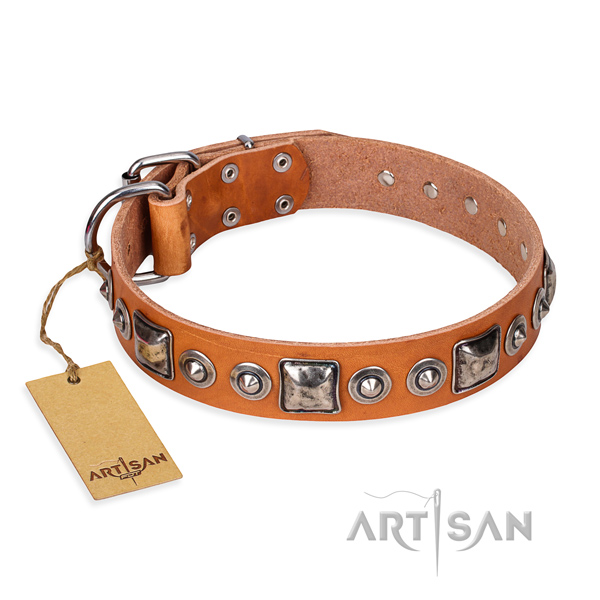 Full grain leather dog collar made of quality material with rust-proof fittings