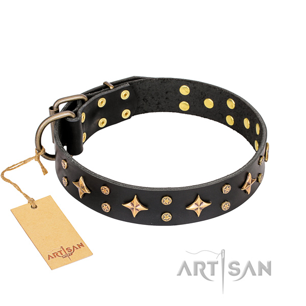 Comfy wearing dog collar of durable full grain leather with adornments