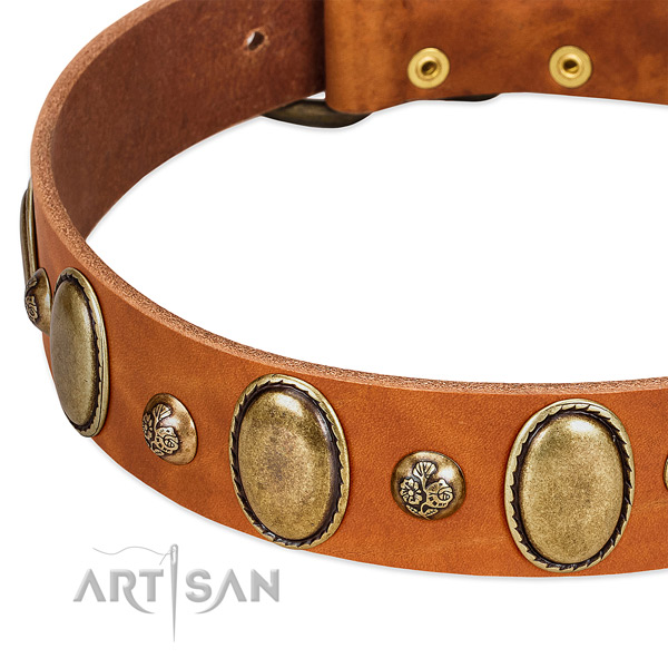 Leather dog collar with stylish design adornments