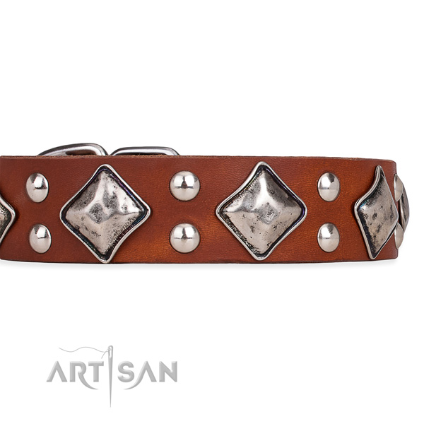 Full grain leather dog collar with trendy durable embellishments