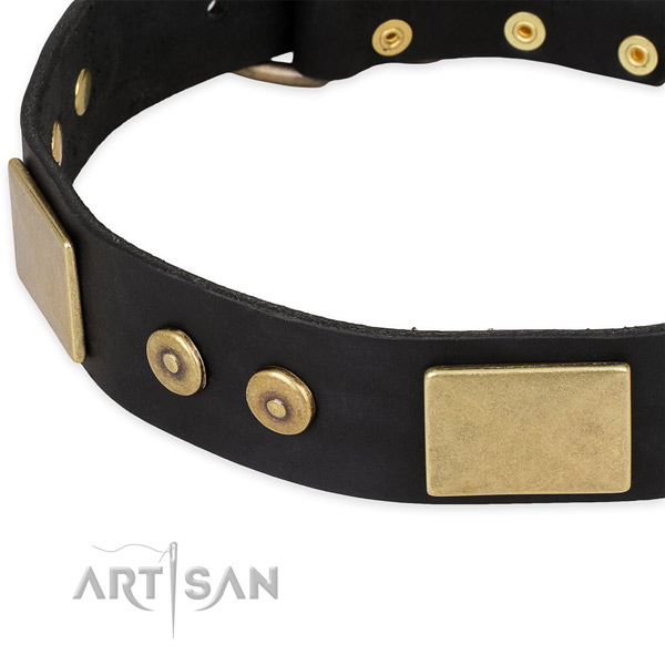 Rust resistant adornments on full grain leather dog collar for your canine