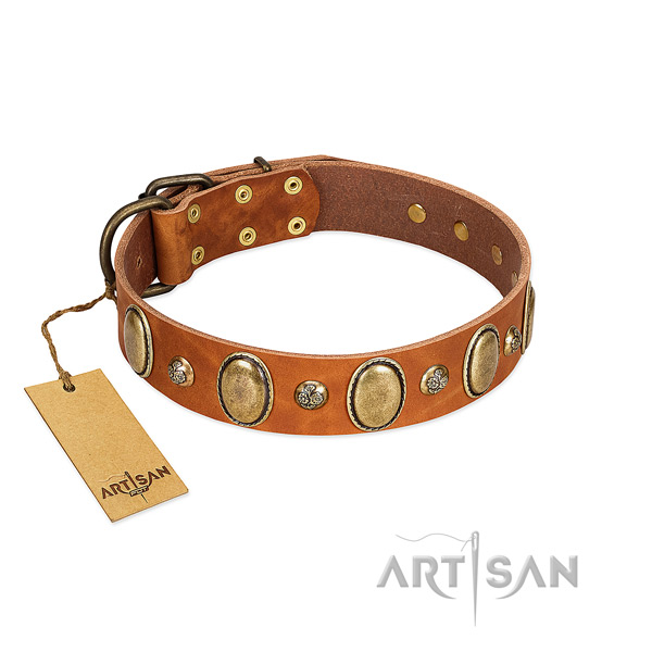 Full grain natural leather dog collar of best quality material with designer decorations