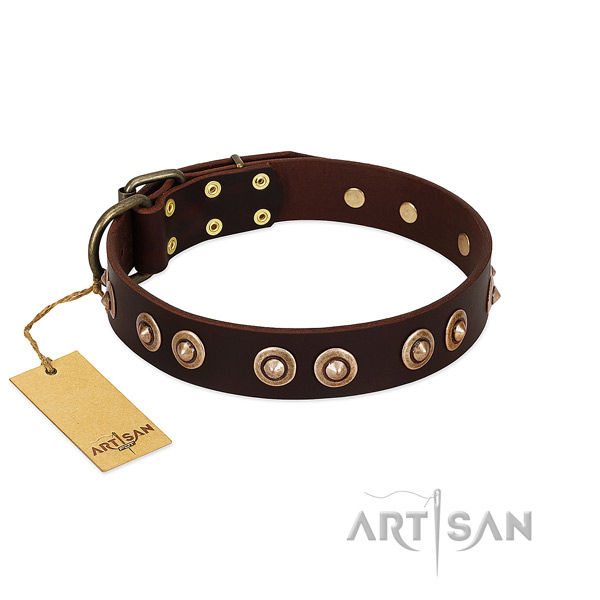 Corrosion resistant fittings on leather dog collar for your doggie
