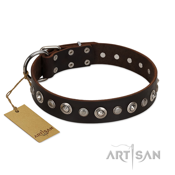 Top notch genuine leather dog collar with top notch adornments