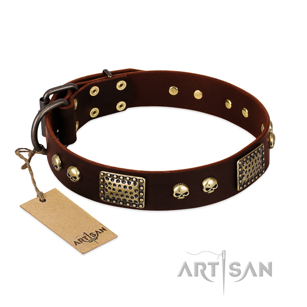 Easy wearing leather dog collar for stylish walking your pet