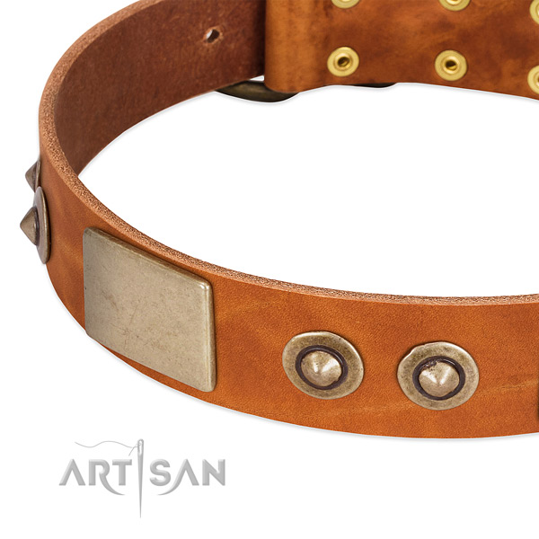 Reliable studs on natural genuine leather dog collar for your dog