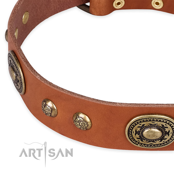 Unusual full grain leather collar for your attractive canine