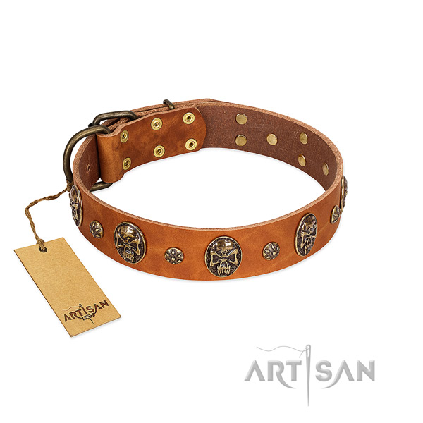 Studded full grain natural leather collar for your four-legged friend