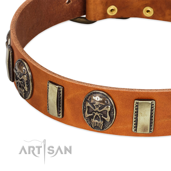 Rust resistant traditional buckle on full grain natural leather dog collar for your pet