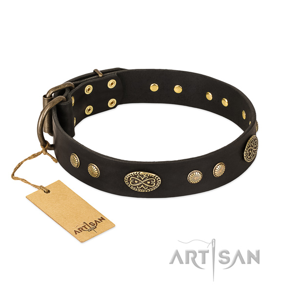 Reliable adornments on full grain natural leather dog collar for your dog