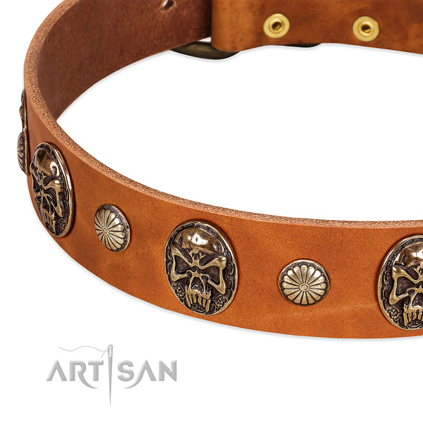 Rust-proof studs on natural genuine leather dog collar for your canine