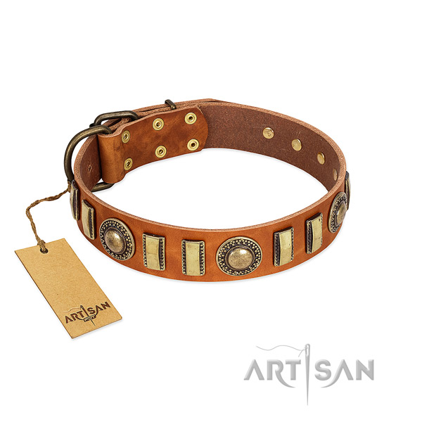 Fine quality full grain genuine leather dog collar with corrosion resistant fittings