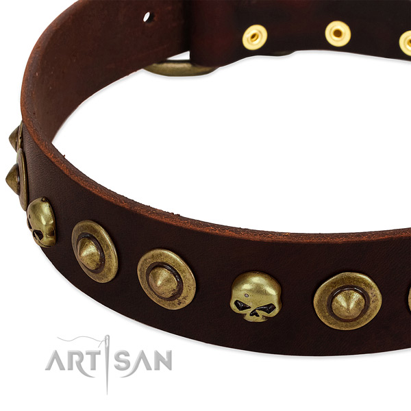 Stunning embellishments on full grain genuine leather collar for your dog