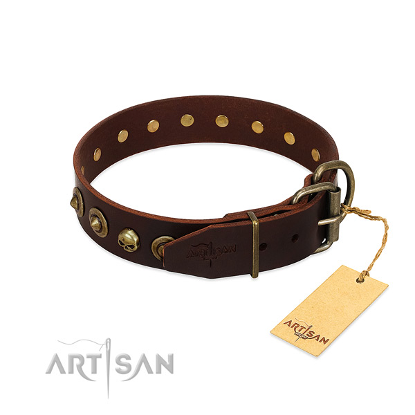 Genuine leather collar with stylish adornments for your dog