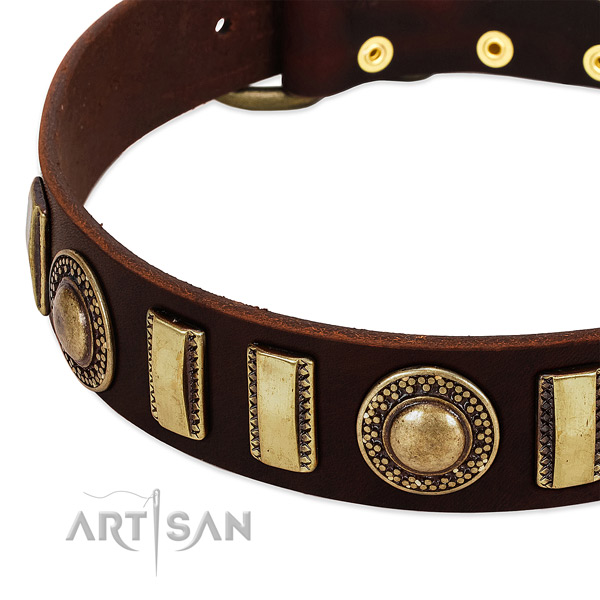 Gentle to touch full grain leather dog collar with rust resistant buckle