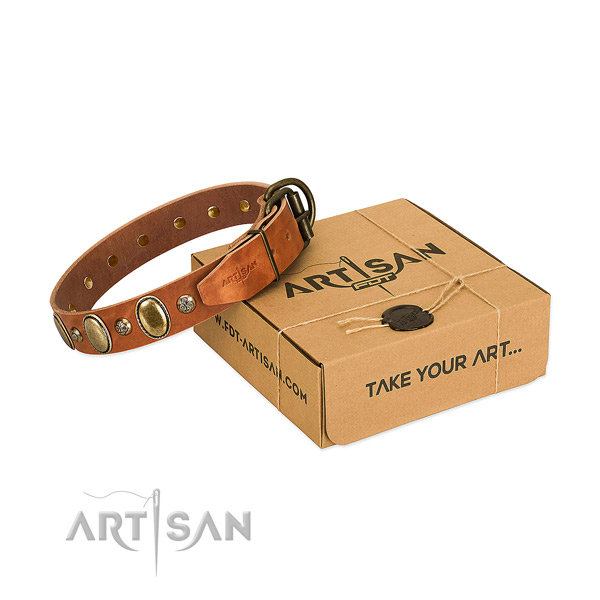 Remarkable genuine leather dog collar with rust-proof D-ring