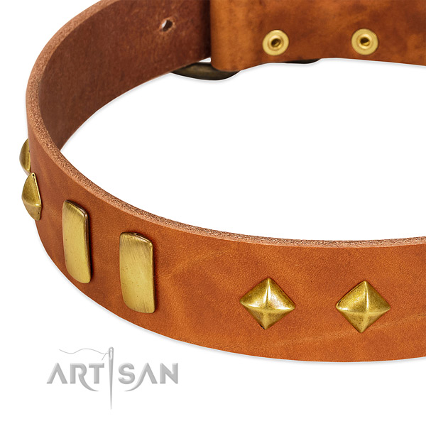 Comfy wearing natural leather dog collar with extraordinary embellishments
