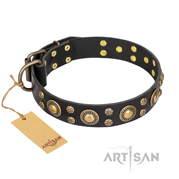 Everyday use dog collar of durable full grain genuine leather with studs
