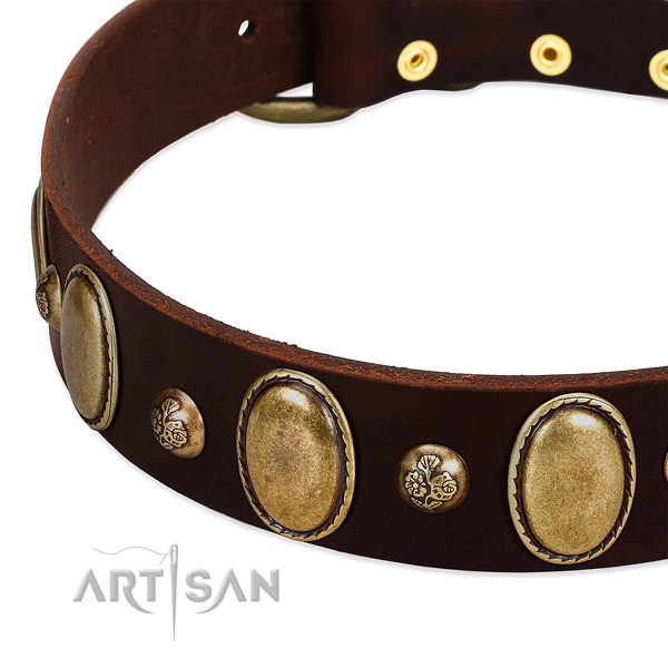 Full grain leather dog collar with inimitable embellishments