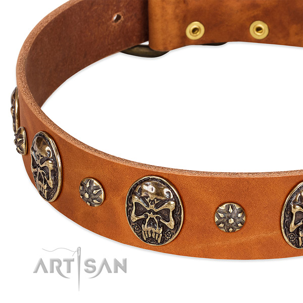 Corrosion proof buckle on full grain genuine leather dog collar for your dog