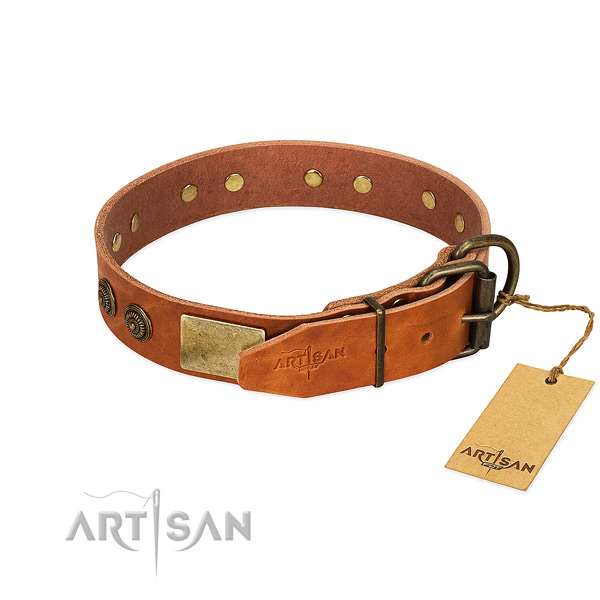Corrosion resistant hardware on genuine leather collar for everyday walking your doggie