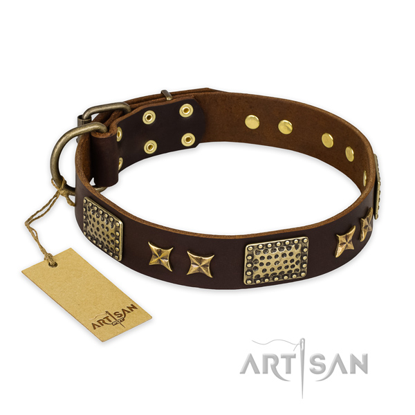 Significant full grain genuine leather dog collar with reliable traditional buckle