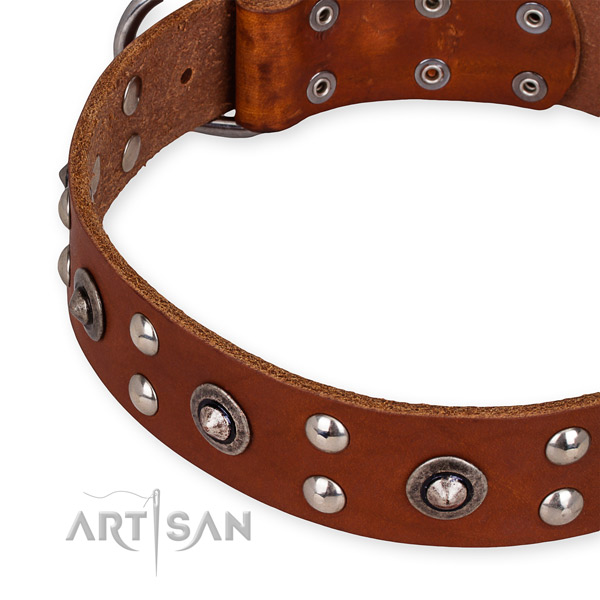 Leather collar with strong D-ring for your beautiful dog