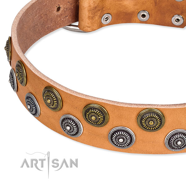 Everyday walking decorated dog collar of durable full grain genuine leather