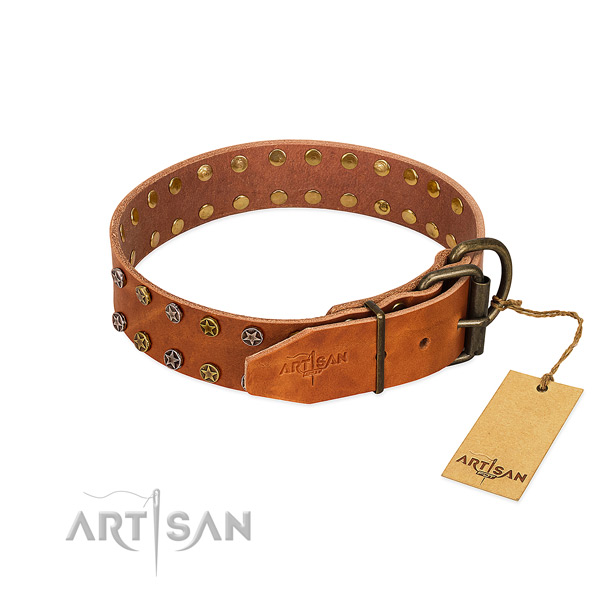 Comfortable wearing natural leather dog collar with stunning embellishments