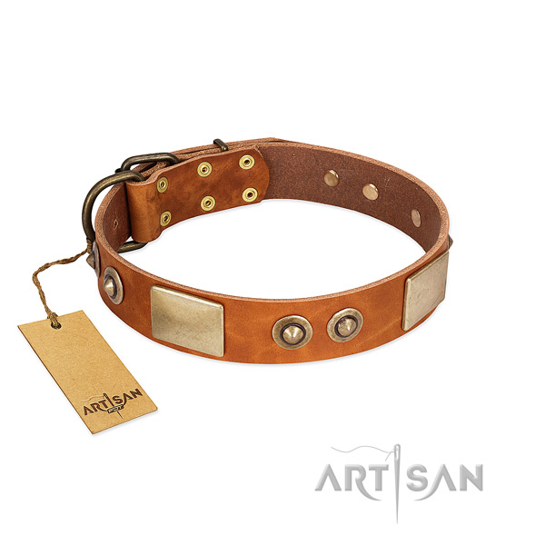Adjustable full grain leather dog collar for daily walking your canine