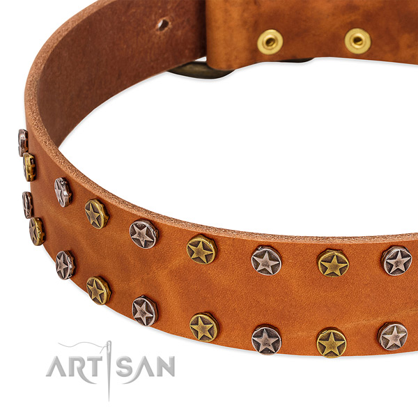Comfortable wearing natural leather dog collar with incredible embellishments