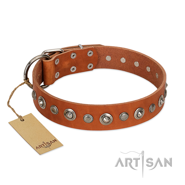 Finest quality full grain genuine leather dog collar with fashionable embellishments
