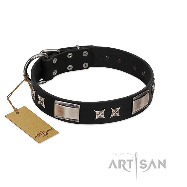 Exquisite dog collar of full grain natural leather
