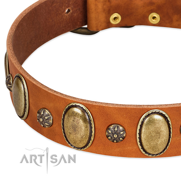 Daily walking top rate full grain natural leather dog collar